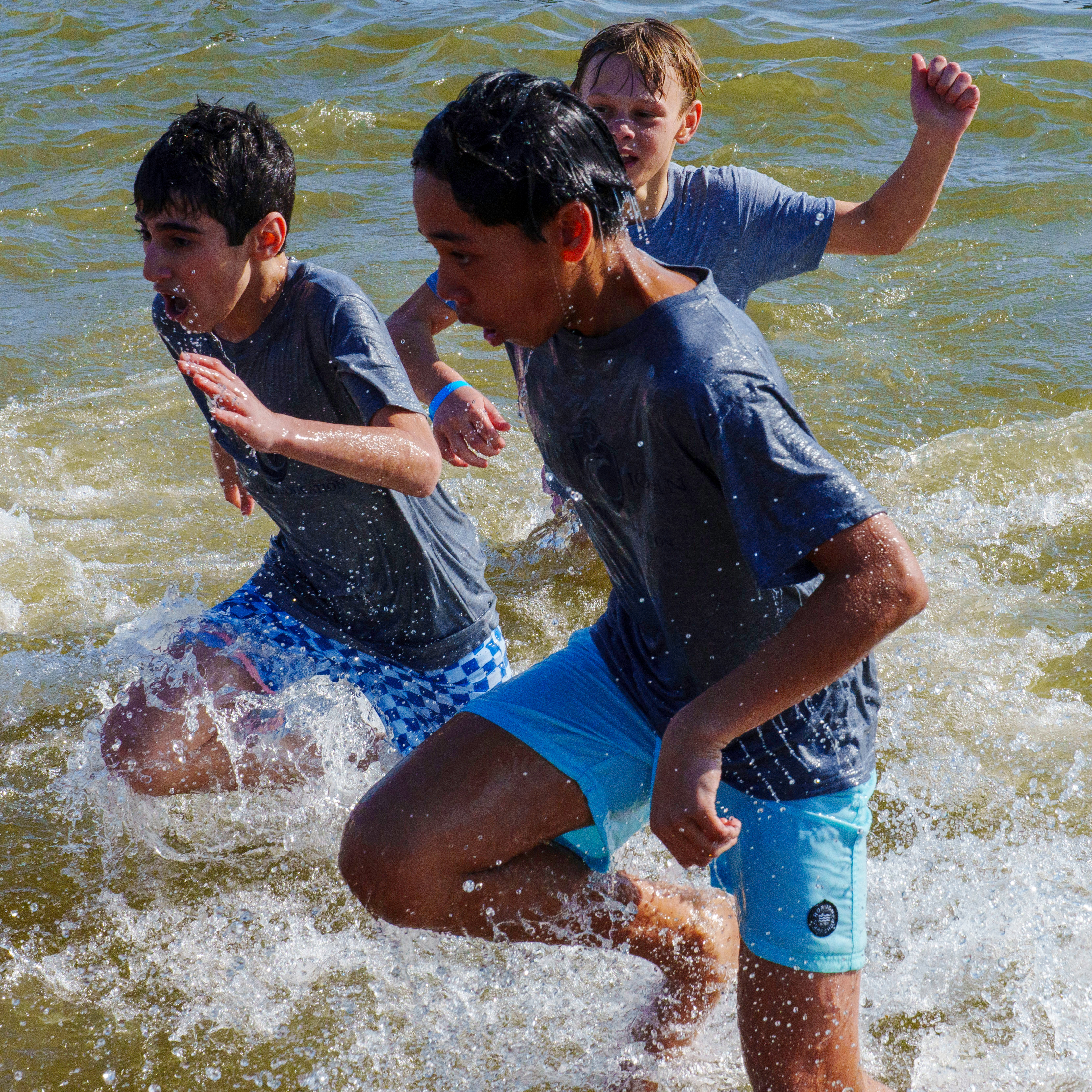 Polar Ber Plunge